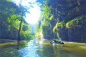King of Waterfall : น้ำตกน้ำ ทีลอซู 3 วัน 2 คืน