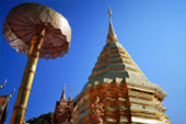 5 วัน 4 คืน ทีลอซู ลำปาง เชียงใหม่