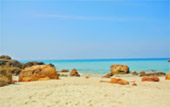 เรือหางยาวเช่าไปเกาะ ตรัง