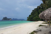 เรือหางยาวเช่าไปเกาะ ตรัง