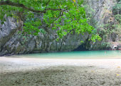 ตรัง 11 ล้านเซลล์4 วัน 3 คืน เกาะลันตา เกาะรอก เกาะกระดาน