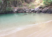 ตรัง 11 ล้านเซลล์4 วัน 3 คืน เกาะลันตา เกาะรอก เกาะกระดาน