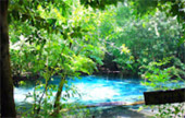 ตรัง 11 ล้านเซลล์4 วัน 3 คืน เกาะลันตา เกาะรอก เกาะกระดาน