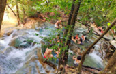 ตรัง 11 ล้านเซลล์4 วัน 3 คืน เกาะลันตา เกาะรอก เกาะกระดาน