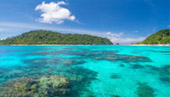 ตรัง 11 ล้านเซลล์4 วัน 3 คืน เกาะลันตา เกาะรอก เกาะกระดาน
