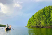 ตรัง 11 ล้านเซลล์4 วัน 3 คืน เกาะลันตา เกาะรอก เกาะกระดาน