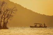 ตรัง 11 ล้านเซลล์4 วัน 3 คืน เกาะลันตา เกาะรอก เกาะกระดาน