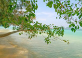 Least Effect: 3 วัน 2 คืน เกาะลันตา เกาะรอก เกาะกระดาน
