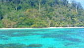 ตรัง 11 ล้านเซลล์4 วัน 3 คืน เกาะลันตา เกาะรอก เกาะกระดาน