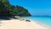 ตรัง 11 ล้านเซลล์4 วัน 3 คืน เกาะลันตา เกาะรอก เกาะกระดาน
