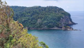 ตรัง 11 ล้านเซลล์4 วัน 3 คืน เกาะลันตา เกาะรอก เกาะกระดาน