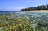 Least Effect: 3 วัน 2 คืน เกาะลันตา เกาะรอก เกาะกระดาน