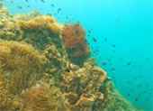 Least Effect: 3 วัน 2 คืน เกาะลันตา เกาะรอก เกาะกระดาน
