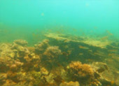 Least Effect: 3 วัน 2 คืน เกาะลันตา เกาะรอก เกาะกระดาน