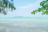 Life on 4320 Minutes ตรัง