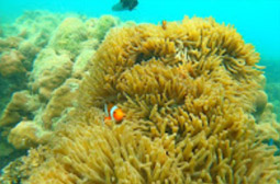 Explore Trang: ตรัง 4 วัน 3 คืน Explore Trang: ตรัง 4 วัน 3 คืน