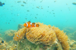 Explore Trang: ตรัง 4 วัน 3 คืน Explore Trang: ตรัง 4 วัน 3 คืน