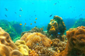 Explore Trang: ตรัง 4 วัน 3 คืน