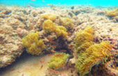 Explore Trang: ตรัง 4 วัน 3 คืน