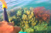 Explore Trang: ตรัง 4 วัน 3 คืน