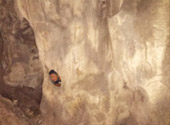 Trang Tale: ตรัง 2 วัน 1 คืน เรื่องราวที่ตรัง