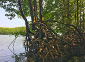 Trang Tale: ตรัง 2 วัน 1 คืน เรื่องราวที่ตรัง