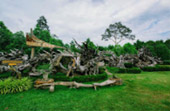 Lake and Culture ตรัง พัทลุง