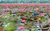 Lake and Culture ตรัง พัทลุง