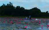 Lake and Culture ตรัง พัทลุง