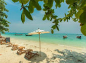 Life on 4320 Minutes ตรัง