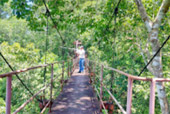 Life on 4320 Minutes ตรัง
