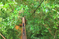 Life on 4320 Minutes ตรัง