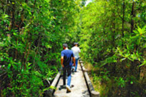 Life on 4320 Minutes ตรัง