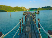 เร่ร่อน 4 จังหวัด นครศรีธรรมราช กระบี่ พัทลุง ตรัง