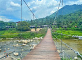 เร่ร่อน 4 จังหวัด นครศรีธรรมราช กระบี่ พัทลุง ตรัง
