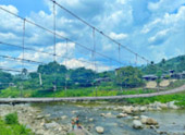 เร่ร่อน 4 จังหวัด นครศรีธรรมราช กระบี่ พัทลุง ตรัง