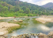 เร่ร่อน 4 จังหวัด นครศรีธรรมราช กระบี่ พัทลุง ตรัง