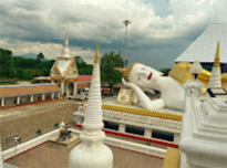 เร่ร่อน 4 จังหวัด นครศรีธรรมราช กระบี่ พัทลุง ตรัง