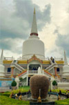 เร่ร่อน 4 จังหวัด นครศรีธรรมราช กระบี่ พัทลุง ตรัง