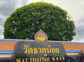 เร่ร่อน 4 จังหวัด นครศรีธรรมราช กระบี่ พัทลุง ตรัง