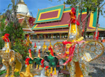 เร่ร่อน 4 จังหวัด นครศรีธรรมราช กระบี่ พัทลุง ตรัง