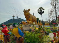 เร่ร่อน 4 จังหวัด นครศรีธรรมราช กระบี่ พัทลุง ตรัง