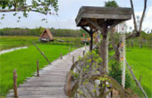 เร่ร่อน 4 จังหวัด นครศรีธรรมราช กระบี่ พัทลุง ตรัง