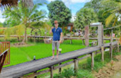 เร่ร่อน 4 จังหวัด นครศรีธรรมราช กระบี่ พัทลุง ตรัง