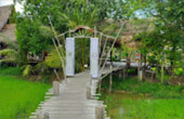 เร่ร่อน 4 จังหวัด นครศรีธรรมราช กระบี่ พัทลุง ตรัง