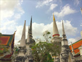 เร่ร่อน 4 จังหวัด นครศรีธรรมราช กระบี่ พัทลุง ตรัง