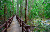 เร่ร่อน 4 จังหวัด นครศรีธรรมราช กระบี่ พัทลุง ตรัง