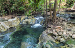 เร่ร่อน 4 จังหวัด นครศรีธรรมราช กระบี่ พัทลุง ตรัง