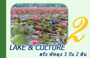 Lake and Culture ตรัง พัทลุง