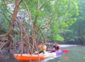 Trang Tale: ตรัง 2 วัน 1 คืน เรื่องราวที่ตรัง